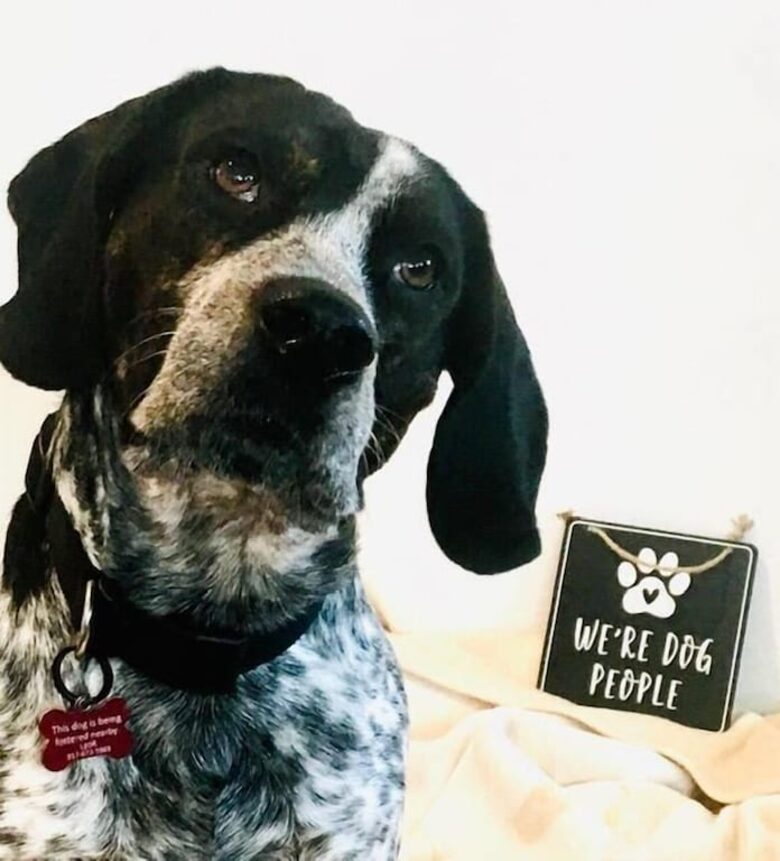 Endless Summer | With Huge Pool & Spa - Isle of Palms, South Carolina