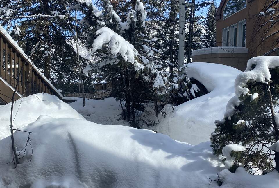 Chic Aspen Jewel Box by the Gondola - Aspen, Colorado