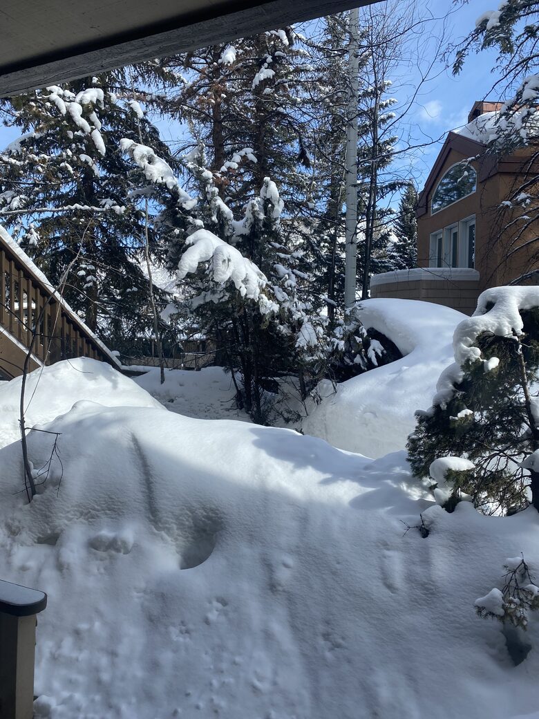 Chic Aspen Jewel Box by the Gondola - Aspen, Colorado