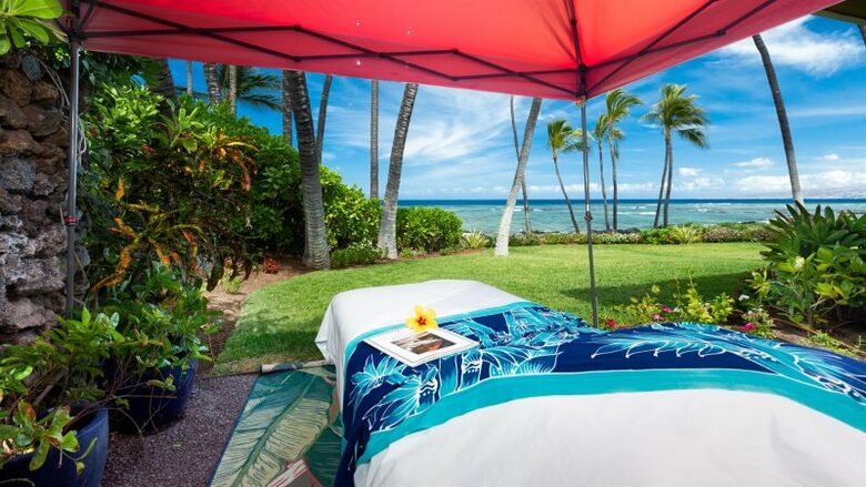 Malulani Villa | Oceanfront with Pool/Spa & Pickleball - Kamuela, Hawaii