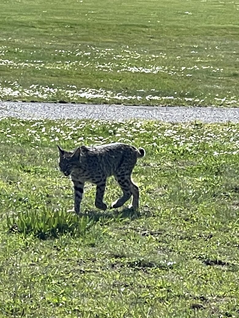 Beach-Ocean-Bay Panoramic View Golf Course Home - Bodega Bay, California