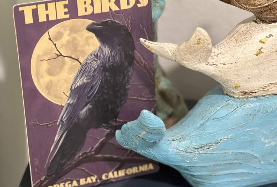 Beach-Ocean-Bay Panoramic View Golf Course Home - Bodega Bay, California