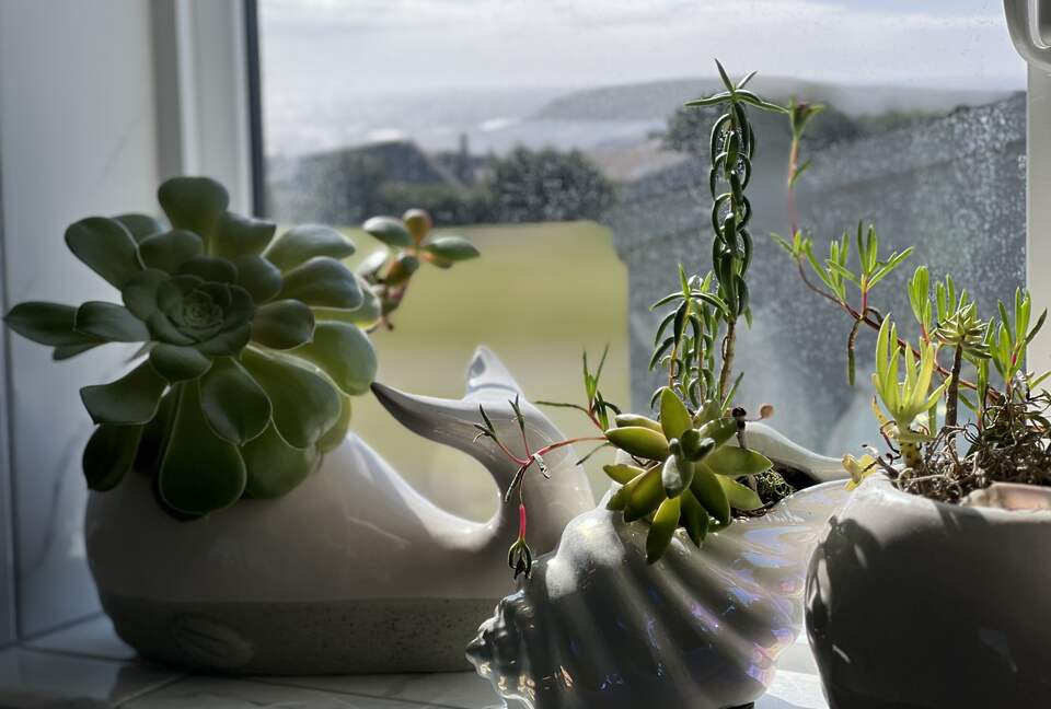 Beach-Ocean-Bay Panoramic View Golf Course Home - Bodega Bay, California