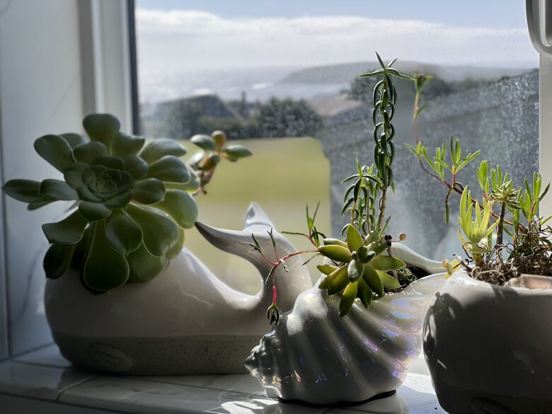 Beach-Ocean-Bay Panoramic View Golf Course Home - Bodega Bay, California