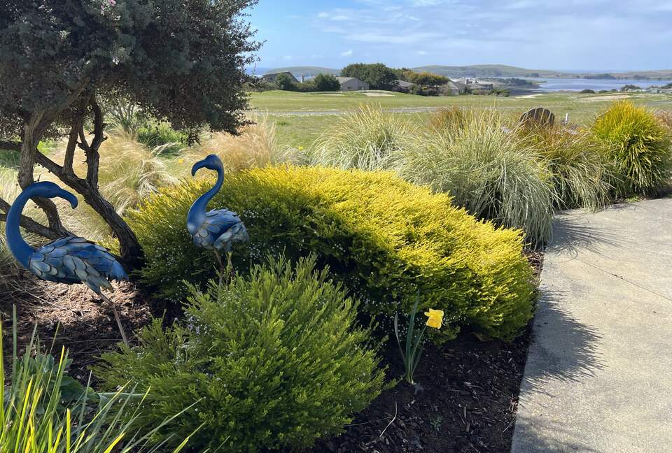 Beach-Ocean-Bay Panoramic View Golf Course Home - Bodega Bay, California