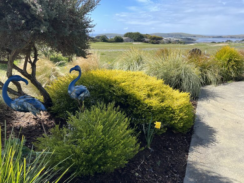 Beach-Ocean-Bay Panoramic View Golf Course Home - Bodega Bay, California
