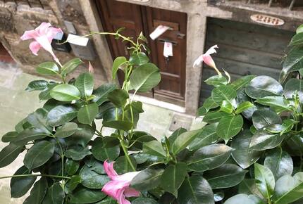 Townhouse in Venice - Venice, Italy