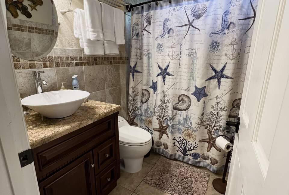 Guest Bathroom. Larger