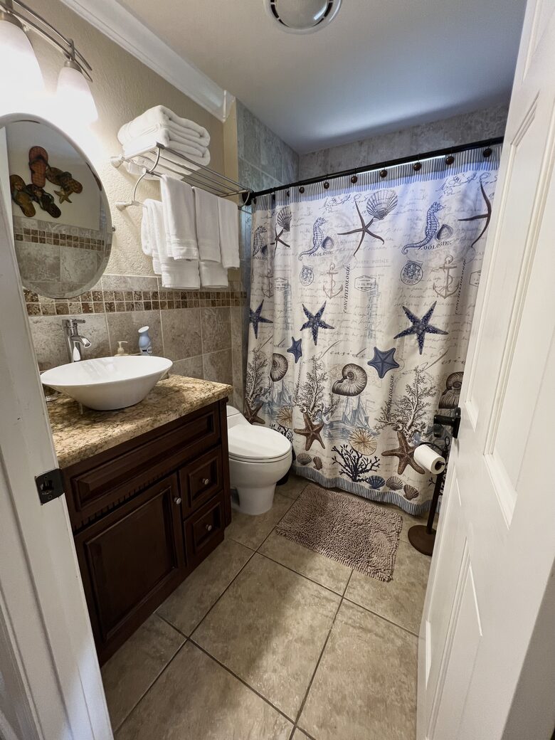 Guest Bathroom. Larger