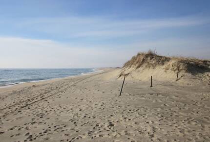 Luxury Katama Beach House with a Heated Pool - Edgartown, Massachusetts