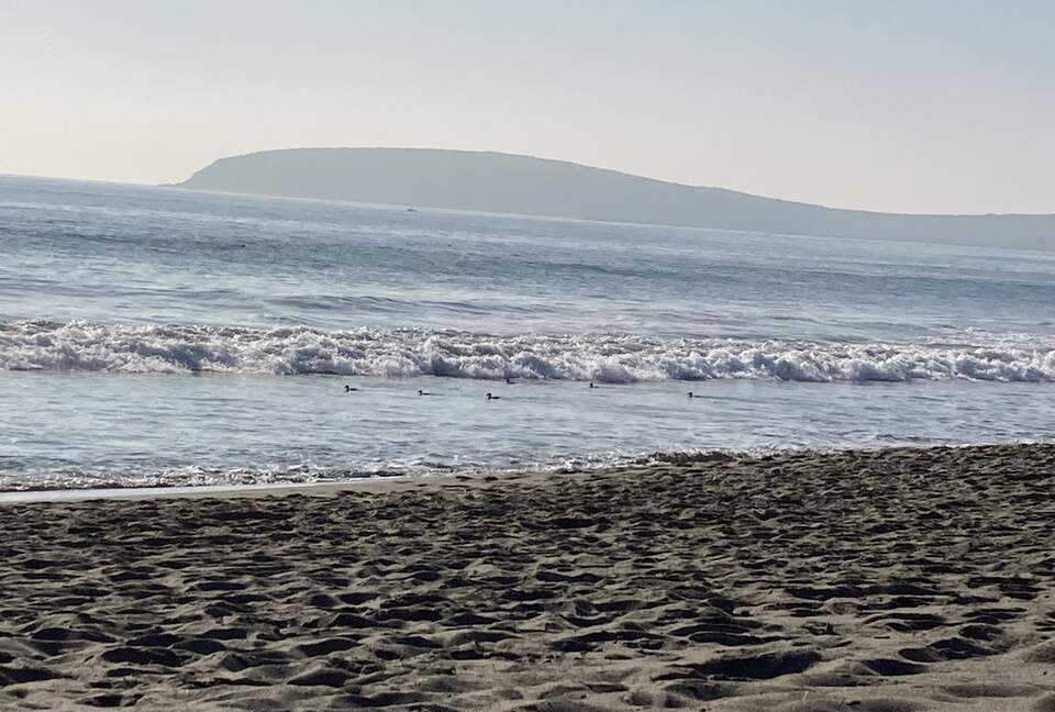Beach-Ocean-Bay Panoramic View Golf Course Home - Bodega Bay, California