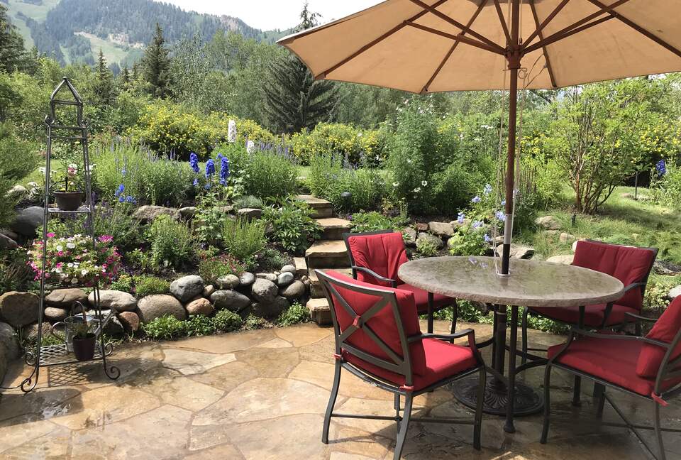 Aspen 3-Bedroom Escape with Panoramic Views - Aspen, Colorado