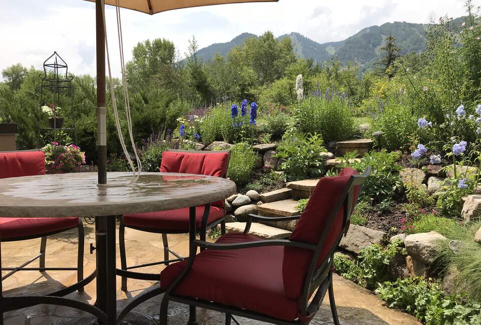 Aspen 3-Bedroom Escape with Panoramic Views - Aspen, Colorado