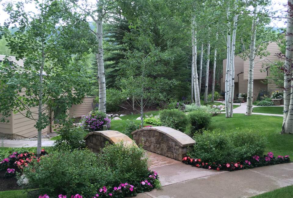 Aspen 3-Bedroom Escape with Panoramic Views - Aspen, Colorado