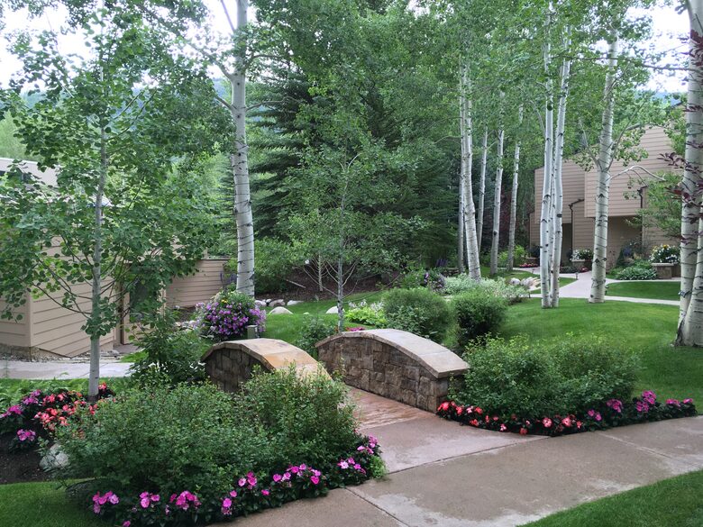 Aspen 3-Bedroom Escape with Panoramic Views - Aspen, Colorado