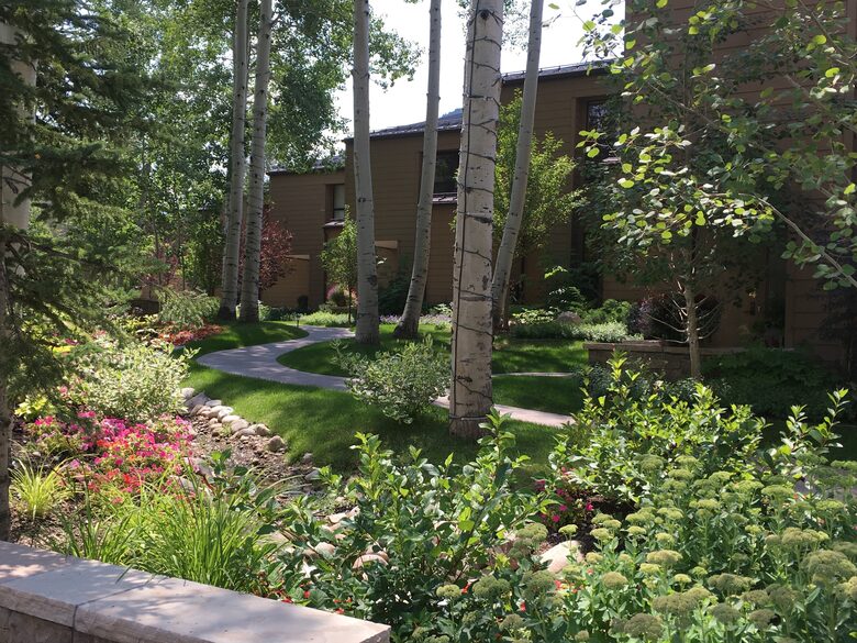 Aspen 3-Bedroom Escape with Panoramic Views - Aspen, Colorado