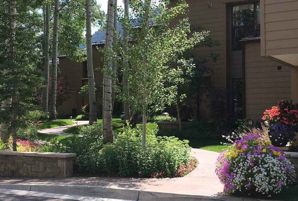 Aspen 3-Bedroom Escape with Panoramic Views - Aspen, Colorado