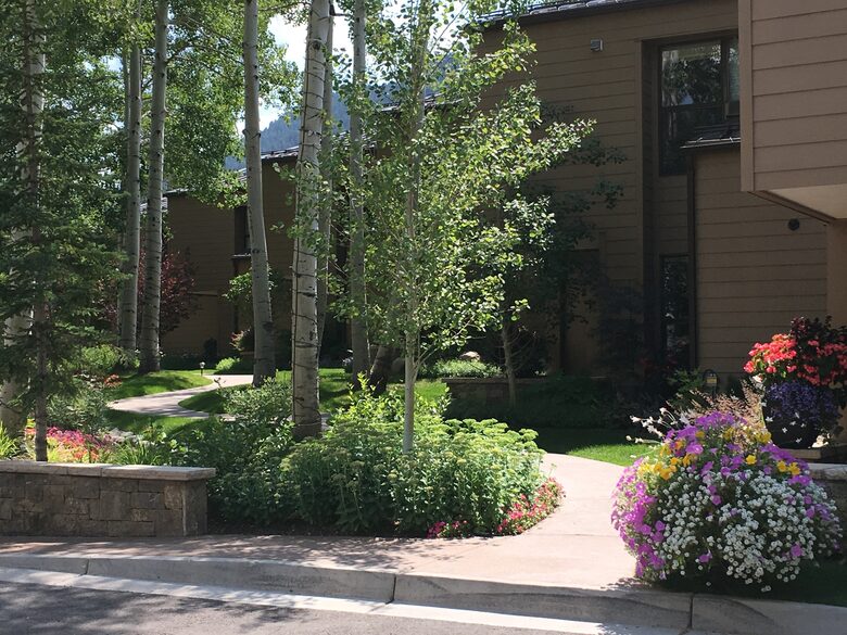 Aspen 3-Bedroom Escape with Panoramic Views - Aspen, Colorado