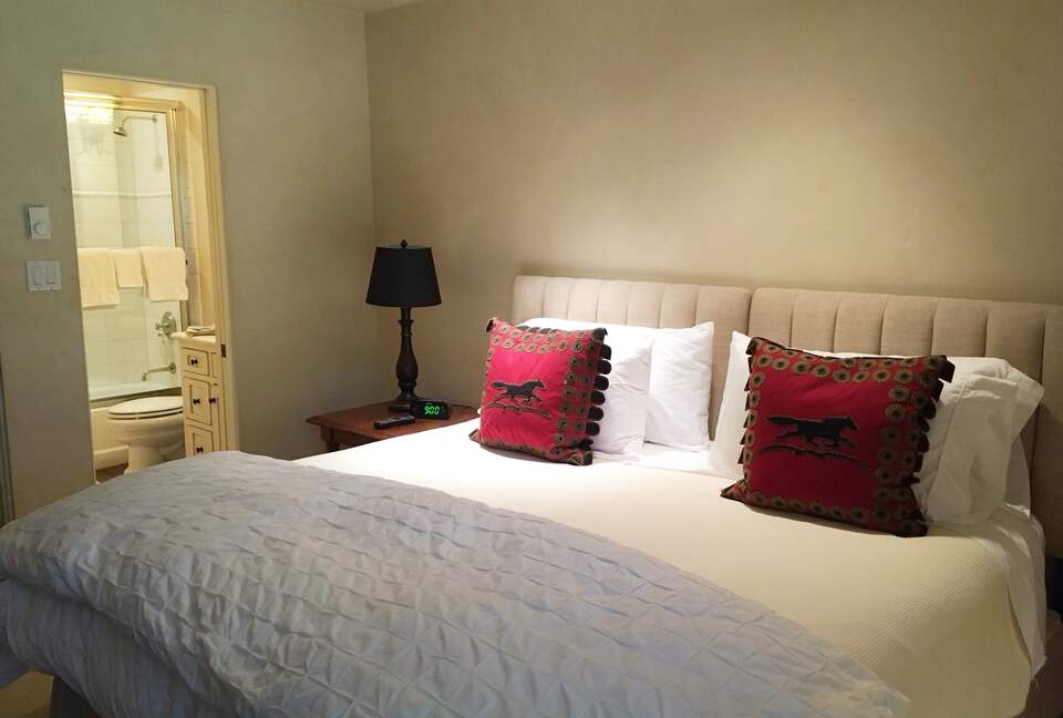 Aspen 3-Bedroom Escape with Panoramic Views - Aspen, Colorado