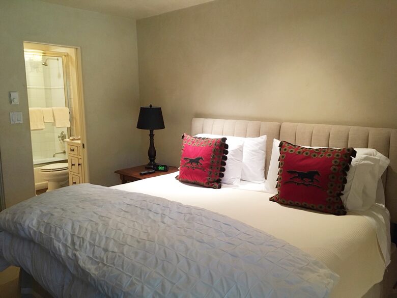 Aspen 3-Bedroom Escape with Panoramic Views - Aspen, Colorado