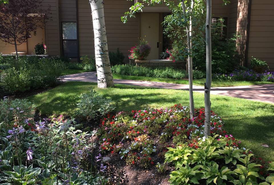 Aspen 3-Bedroom Escape with Panoramic Views - Aspen, Colorado