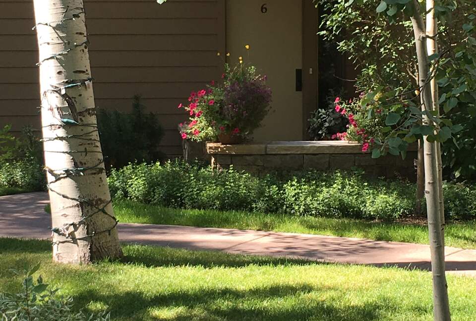 Aspen 3-Bedroom Escape with Panoramic Views - Aspen, Colorado