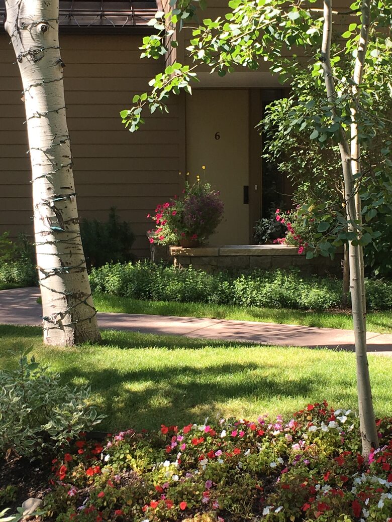 Aspen 3-Bedroom Escape with Panoramic Views - Aspen, Colorado