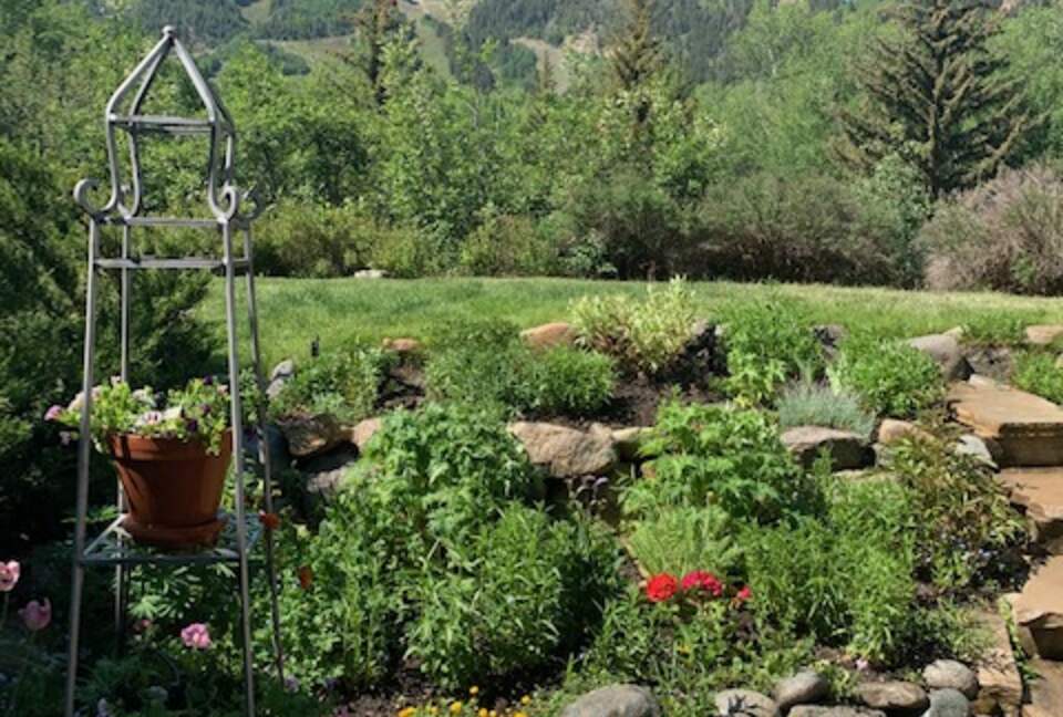 Aspen 3-Bedroom Escape with Panoramic Views - Aspen, Colorado