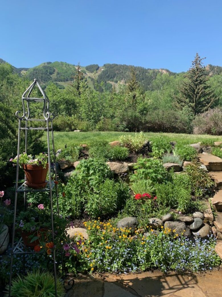 Aspen 3-Bedroom Escape with Panoramic Views - Aspen, Colorado