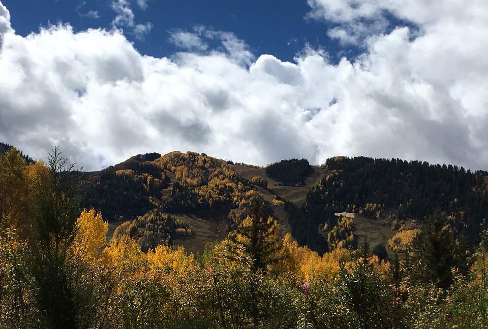 Aspen 3-Bedroom Escape with Panoramic Views - Aspen, Colorado