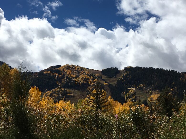 Aspen 3-Bedroom Escape with Panoramic Views - Aspen, Colorado