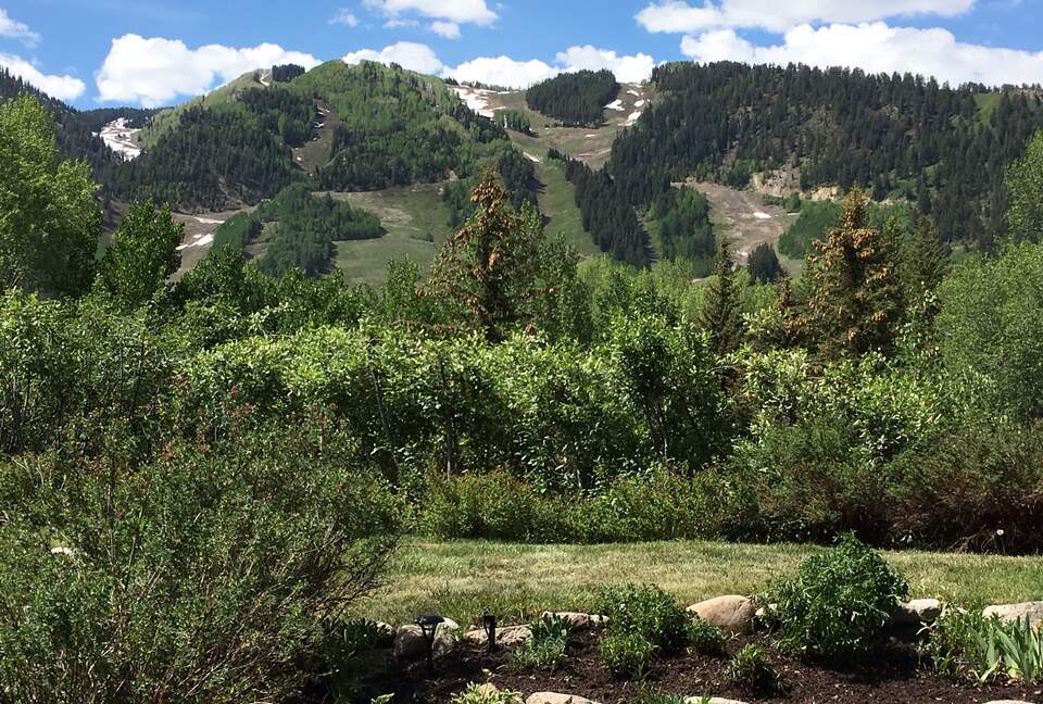 Aspen 3-Bedroom Escape with Panoramic Views - Aspen, Colorado