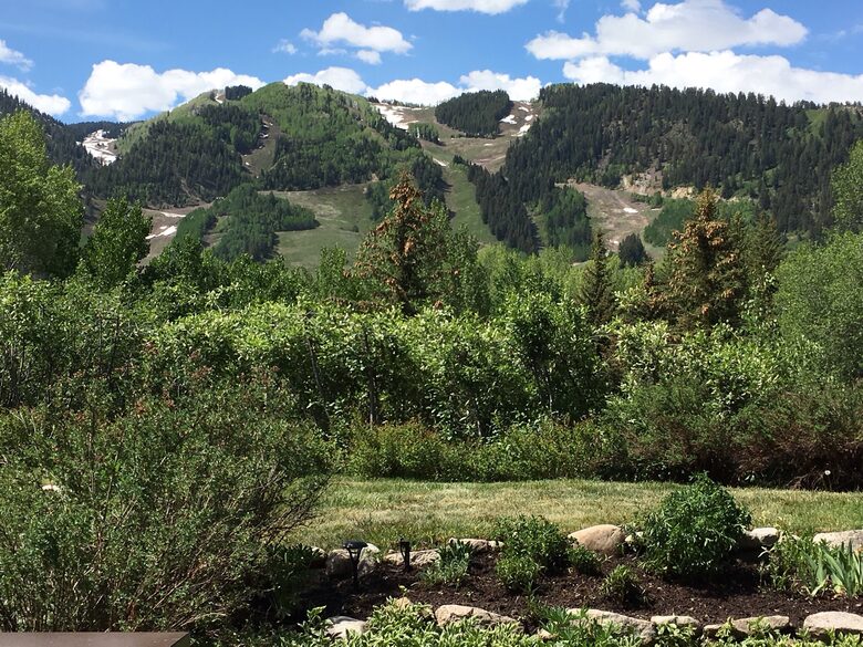 Aspen 3-Bedroom Escape with Panoramic Views - Aspen, Colorado