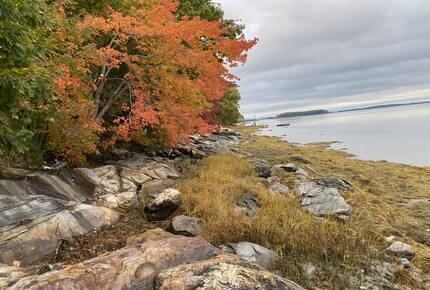 View from the shoreline of the cottages.