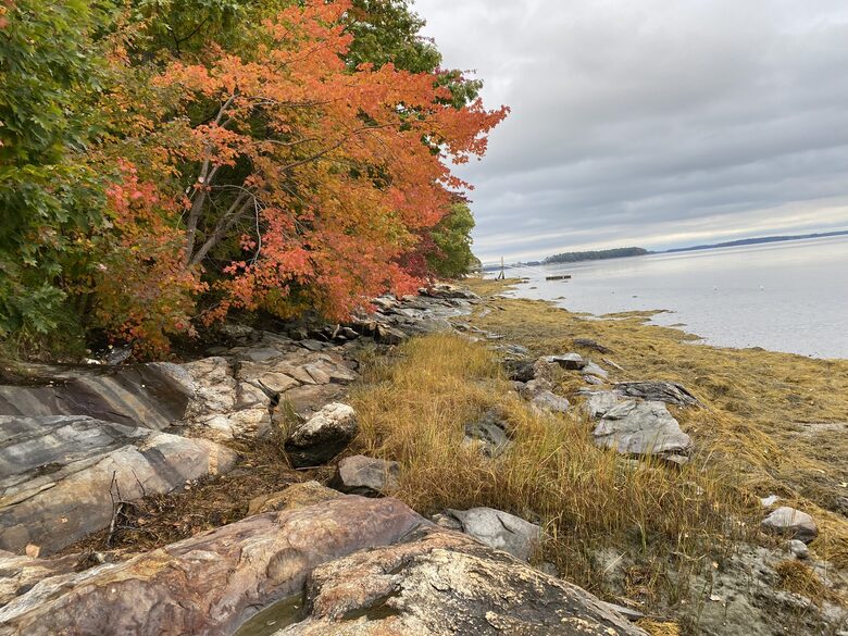 View from the shoreline of the cottages.