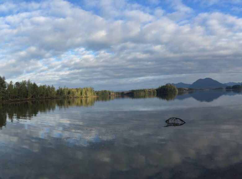Jensen’s Bay Waterfront Wonderland - Tofino, Canada