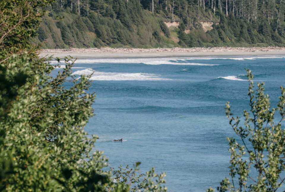 Jensen’s Bay Waterfront Wonderland - Tofino, Canada