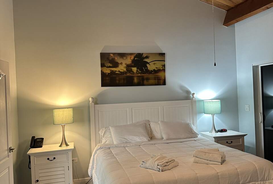 Master bedroom king - large room w/ comfortable chairs, walk-in closet