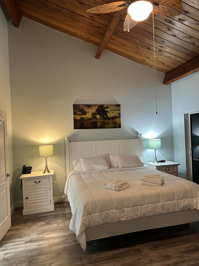 Master bedroom king - large room w/ comfortable chairs, walk-in closet