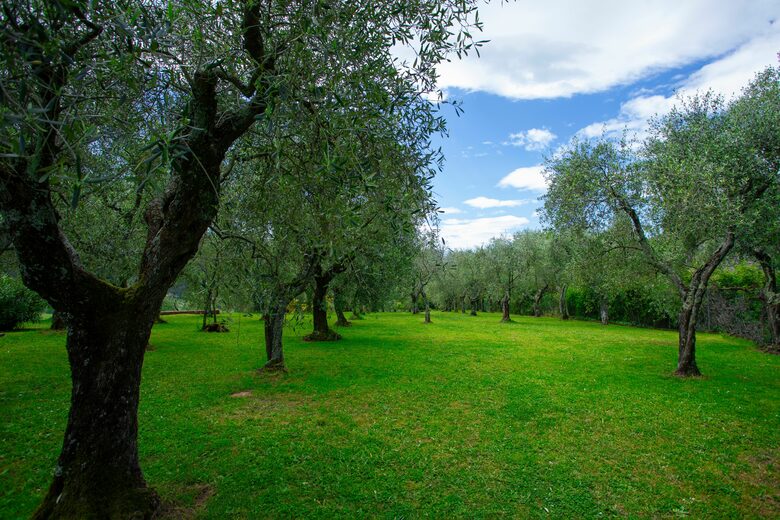 Dimora di Vaccoli - Lucca, Italy