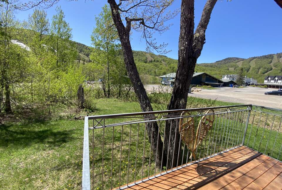 Near Old Quebec City: cozy ski-in ski-out chalet - Stoneham, Canada