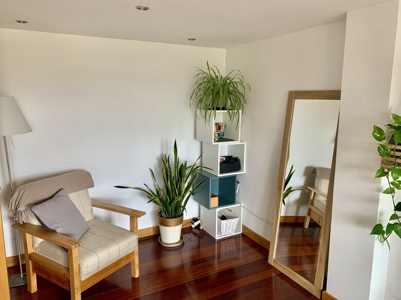 Office Space and Spare Room