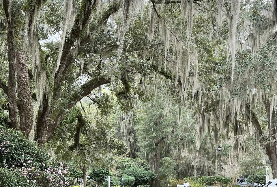 High Tides Riverfront Cottage - Port Royal, South Carolina