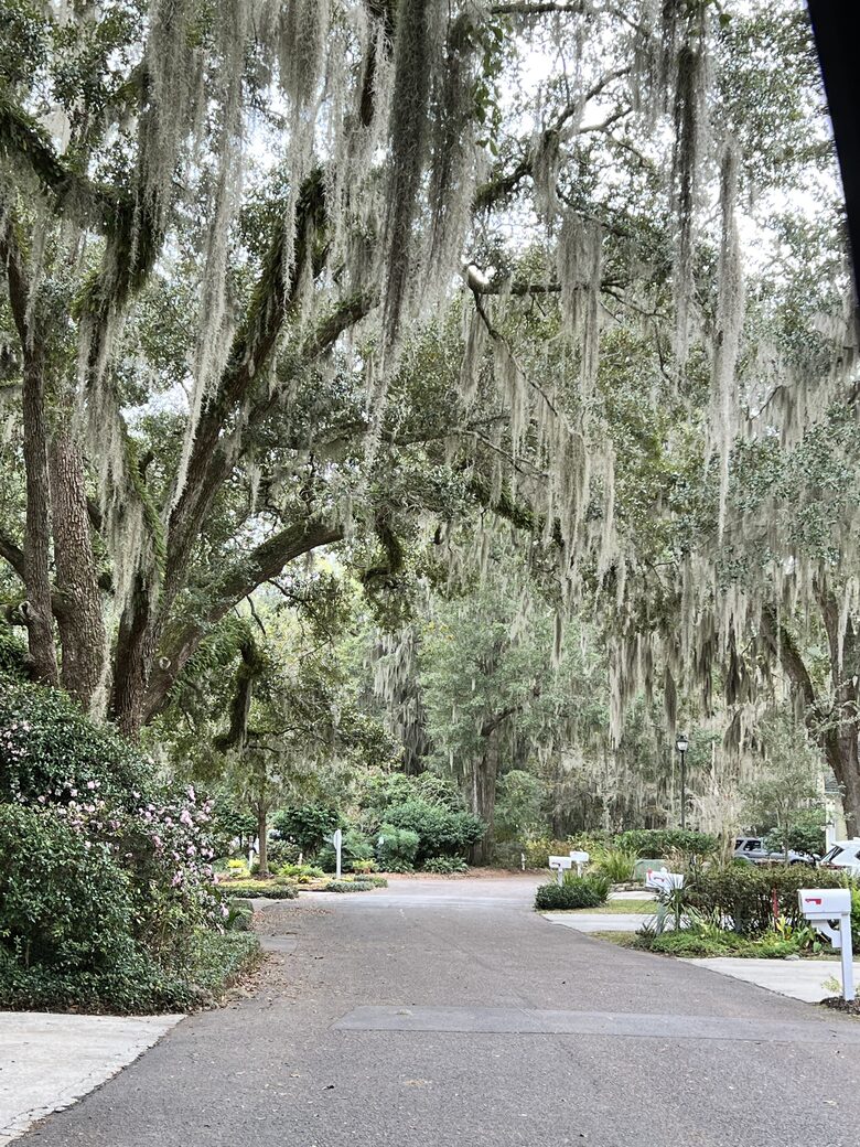 High Tides Riverfront Cottage - Port Royal, South Carolina