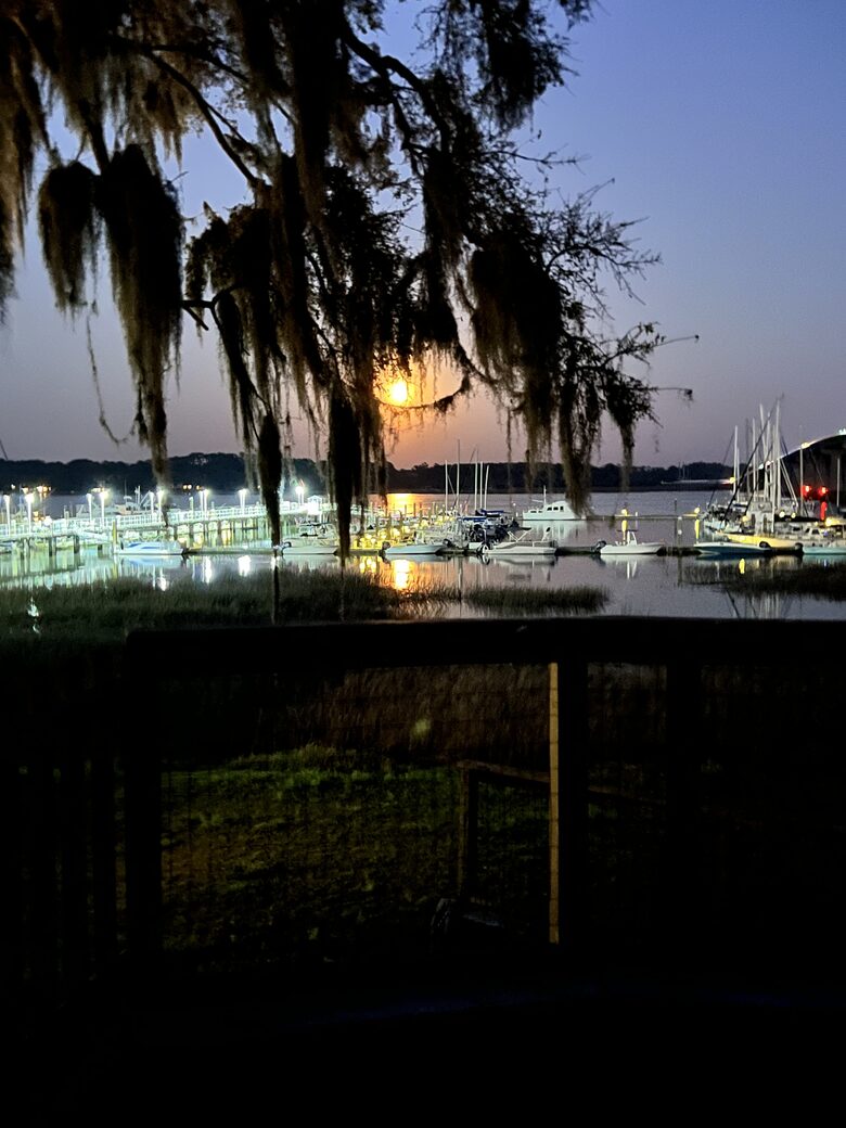 High Tides Riverfront Cottage - Port Royal, South Carolina