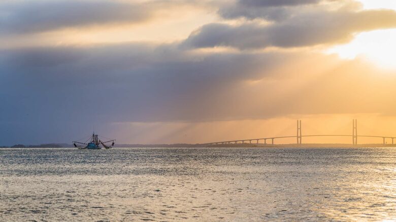 St. Simons Grand #321 | Oceanfront Condo with Balcony, Swimming Pool and Boardwalk to Beach - St Simons, Georgia