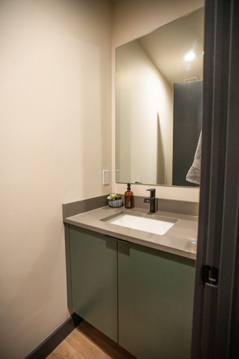 The Modern Bear | With a Private Pool, Ball Pit, Sleeps 12-50 - Garden City, Utah