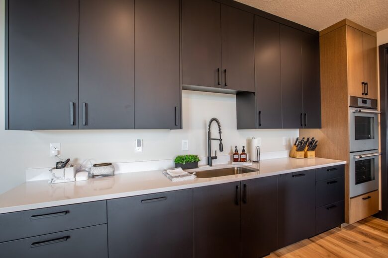 The Modern Bear | With a Private Pool, Ball Pit, Sleeps 12-50 - Garden City, Utah