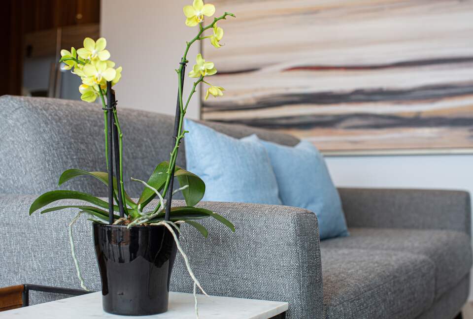 New D'esire | With Romantic Zone, Gym, Rooftop Pool - Emiliano Zapata, C.P. Puerto Vallarta, Mexico