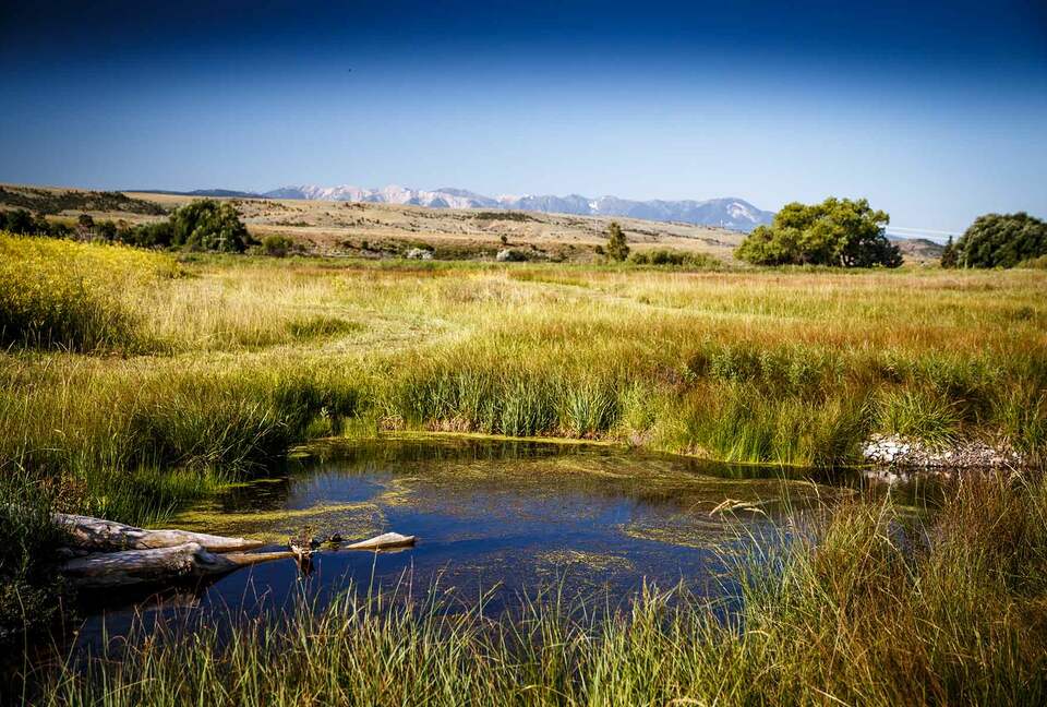 Lucky Duck Ranch - Big Timber, Montana